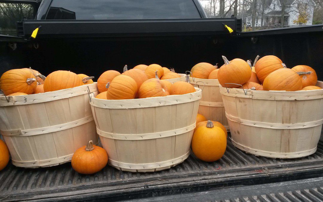 Pumpkins from Fresh For All