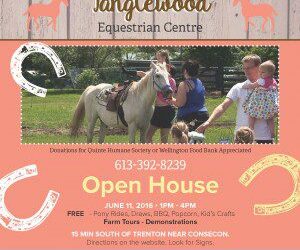 Tanglewood Open House