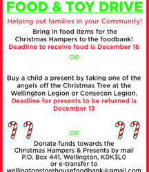 Christmas Help!